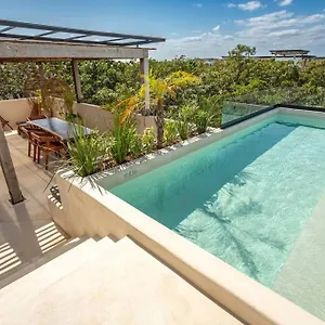 https://tuane-luxury-homes.quintano-roohotels.com